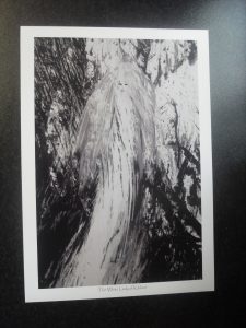 print 1